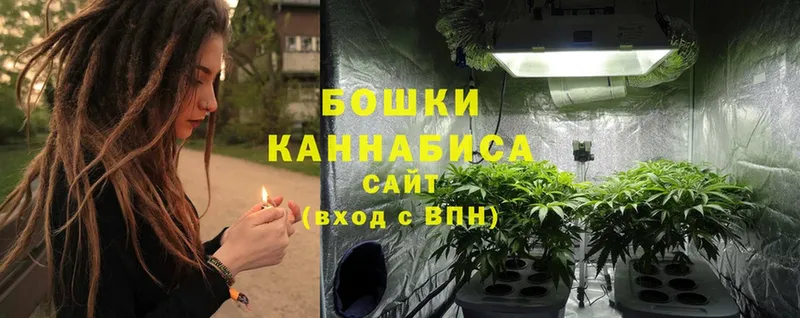 где купить наркоту  kraken онион  МАРИХУАНА SATIVA & INDICA  Долинск 